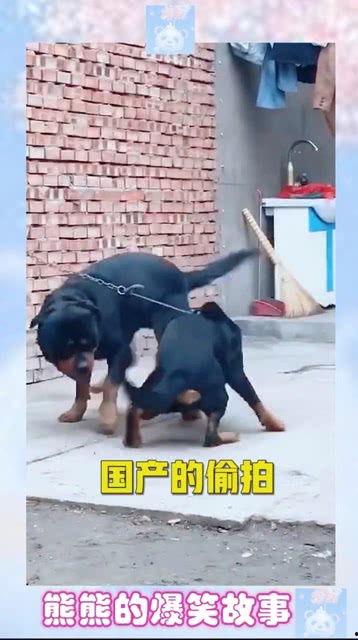 国产拍偷,揭秘镜头背后的偷拍艺术  第3张