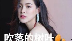 国产17p,引领科技潮流的创新之作  第2张