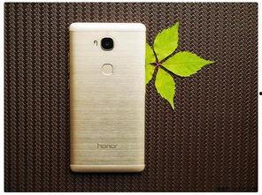 国产在线999,揭秘国内热门影视平台的魅力所在  第3张