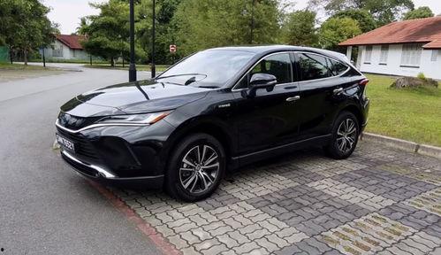 国产网,引领潮流，打造民族互联网新生态  第2张